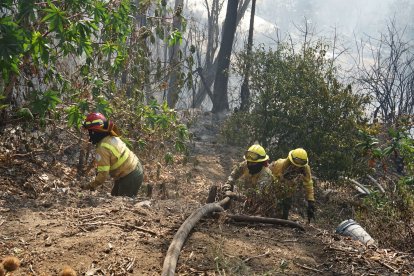 Los bomberos están desplegados en cinco puntos críticos de incendios.
