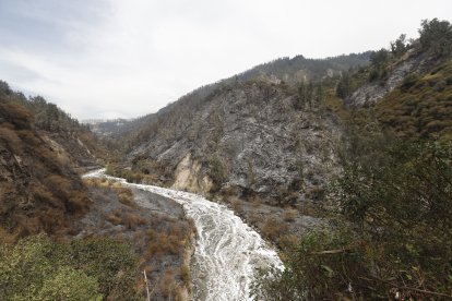 Toda esta área se quemó en esta catástrofe ambiental que casi destruyó tres barrios capitalinos.