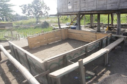 La gallera en cuestión, en Samborondón.