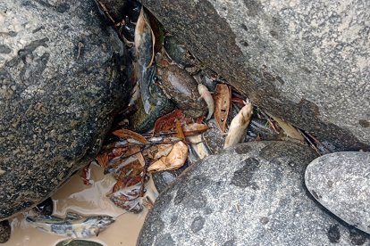 Los habitantes están preocupados por la contaminación del río.