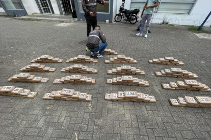 Los bloques tipos ladrilleros encontrados en un camión.