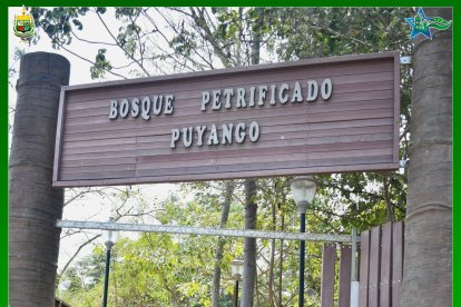 Las últimas candidatas a reina del cantón Las Lojas en un recorrido en el bosque.