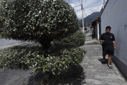 Hay arbustos que empiezan a ocupar más espacio de las veredas.