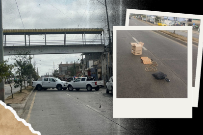 Una cabeza humana fue encontrada en plena Av. Bolívar Madero Vargas.