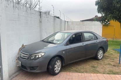 El delincuente estrelló el vehículo tras la persecución.