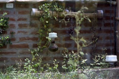 ag-periodistas-quito