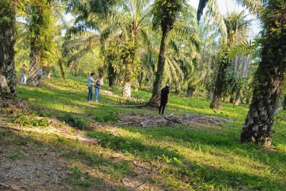 Una pareja fue hallada maniatada y con sus cabezas destrozadas en Lago Agrio.