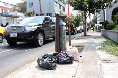 Basura acumulada en la calle 9 de Octubre, cerca de la Francisco de Orellana.