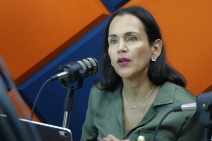 Inés Manzano, ministra de Energía encargada.