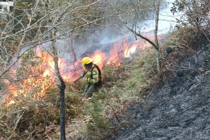 Hasta el momento, el incendio no ha logrado ser controlado.