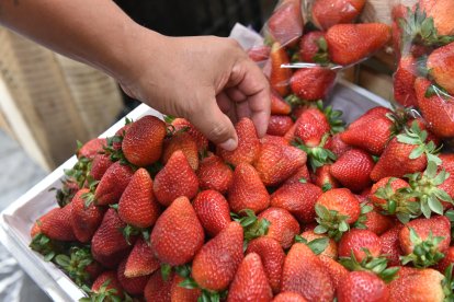 La frutilla es lo que más se vende y se termina más rápido.