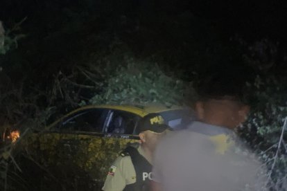 El carro con su conductor cayeron a un hoyo.