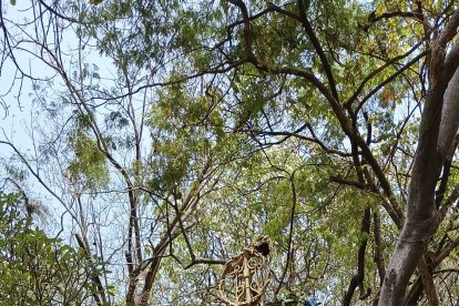 La tumba de Antonio ‘El Brujo’ Valverde es visitada por decenas de personas cada año.