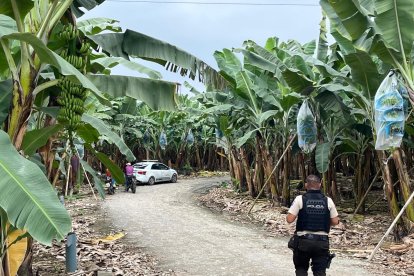 En una guardarraya dejaron el cuerpo de un ciudadano que registraba antecedentes penales.
