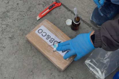 Se hallaron 1.295 bloques de sustancias ilícitas, según las autoridades.