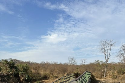 Así es como luce la estructura en mal estado de Senderos del Parque Samanes.