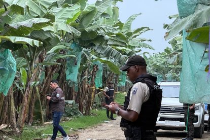 Los cuerpos estaban apilados a un costado de una vía de tercer orden.
