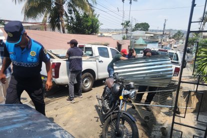 Realizan operativo contra animales de pelea en zona residencial.