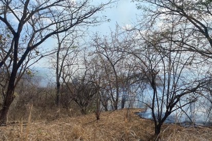 Incendio de noviembre en el Bosque Protector Bosqueira.