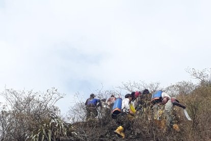 El Parque Nacional Podocarpus sufre de incendios forestales.