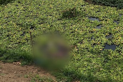 Manga Covacha forma parte del distrito Progreso.