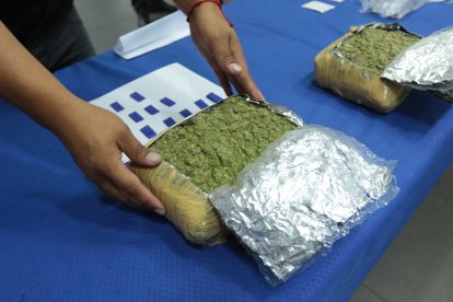 Entre las evidencias constan dos bloques de marihuana.