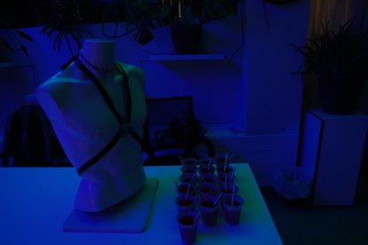 Las personas invitadas eran recibidas con cocteles.