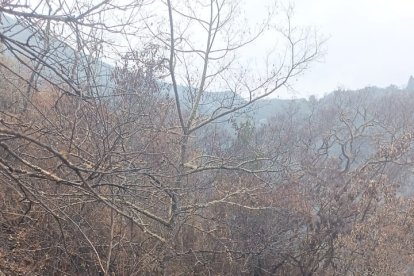 Personal del Cuerpo de Bomberos de Loja revisa la zona quemada.