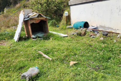 Este es uno de los sitios en los que habitaban las mascotas.