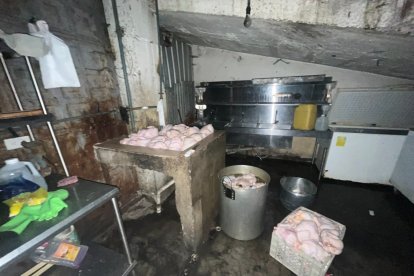 Así tenían los pollos en el lugar clausurado.