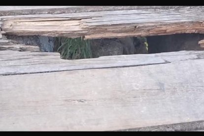 La causa del accidente en el puente.