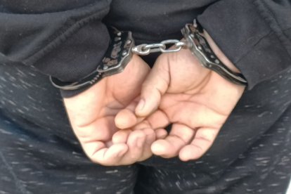 El sujeto detenido sería parte de una red de pornografía infantil.