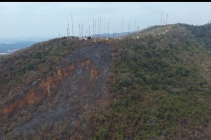 Algunas hectáreas afectó el reciente incendio de Cerro Azul.