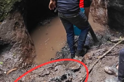 Estos restos se localizaron en Cayambe. Se presume serían de Yomaira Quishpe.