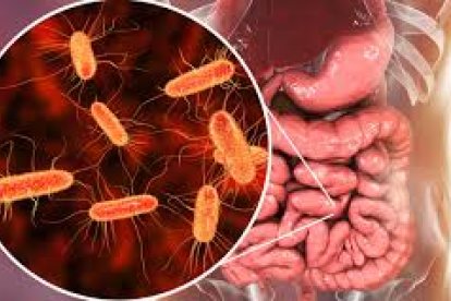 El E. Coli puede afectar considerablemente la salud de los infectados.