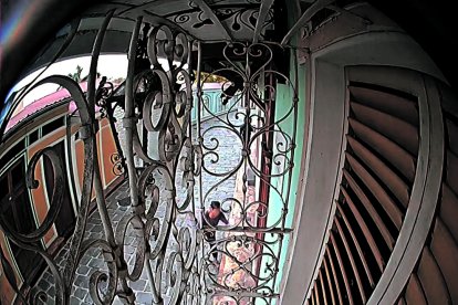 Evidencias de los intentos de una paciente con esquizofrenia por ingresar a la fuerza en la casa de un vecino del barrio Las Peñas.