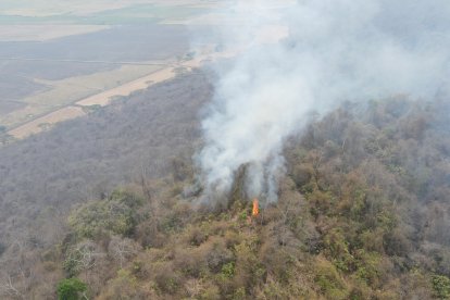 Toma panorámica de cómo quedó la vegetación en el Cerro Santa Ana.