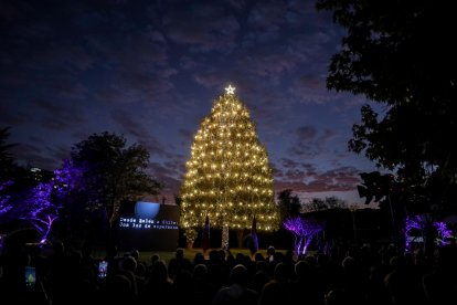 Para fin de año existen tradiciones supersticiosas para encontrar amor, dinero y prosperidad.
