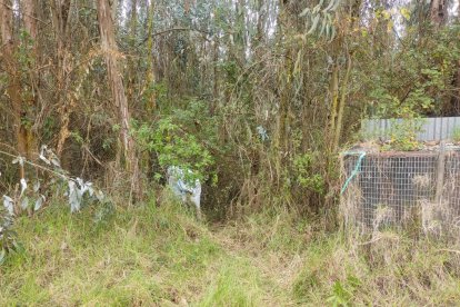 El cadáver fue localizado en una zona abandonada de Ibarra.
