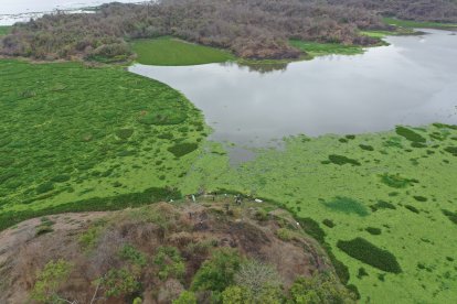 En este lugar fueron localizados los cadáveres.