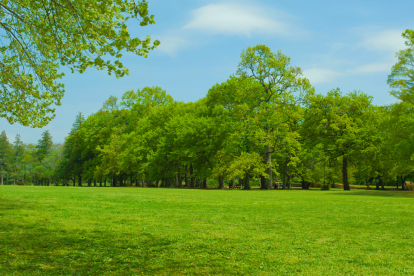 Referencial: se planifica una nueva área verde para Guayaquil.