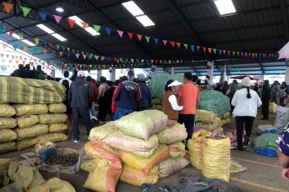 Varios migrantes extranjeros son empleados en las plazas del cantón Salcedo.