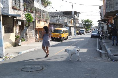 Los moradores del sector escucharon los estruendos de la balacera.