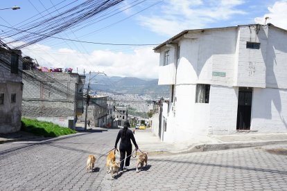 En el sector Luz y Vida fueron detenidos alias Shakira y sus compinches.