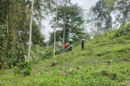 En este sitio fue encontrado y rescatado el niño.