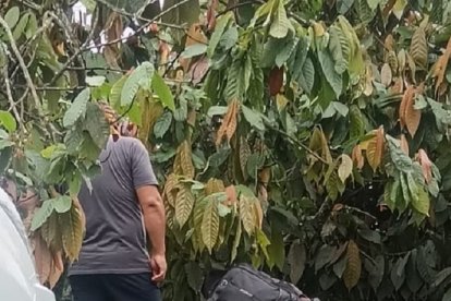 En el sitio donde hallaron el cuerpo, los agentes encontraron unos casquillos percutidos.