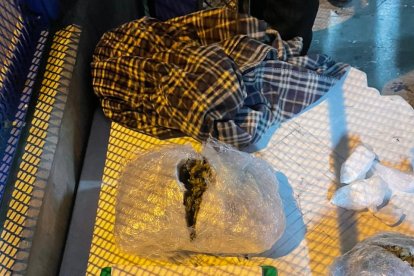 Entre las evidencias había un bloque de marihuana que iba a ser ingresado a la cárcel de Cotopaxi.