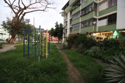 Maleza ha crecido alrededor de juegos infantiles. Esta, además, se encuentra cerca de una cancha usada a diario.