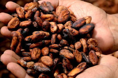 El cacao y un impresionante repunte.