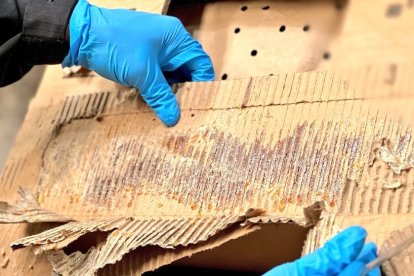 La sustancia estaba distribuida entre los pliegues de las cajas.